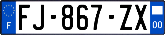 FJ-867-ZX