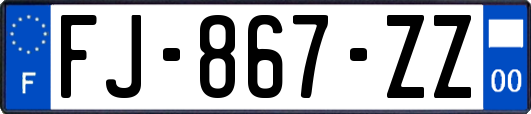 FJ-867-ZZ