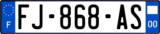 FJ-868-AS
