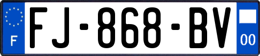 FJ-868-BV