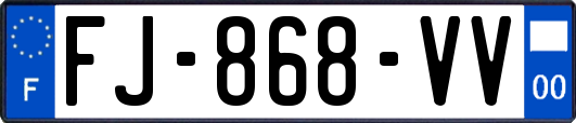 FJ-868-VV