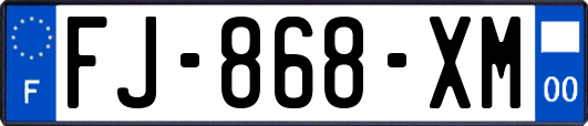 FJ-868-XM