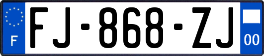 FJ-868-ZJ