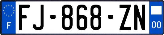 FJ-868-ZN