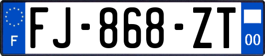 FJ-868-ZT