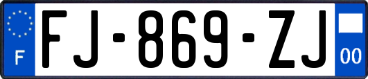 FJ-869-ZJ