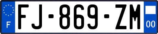 FJ-869-ZM