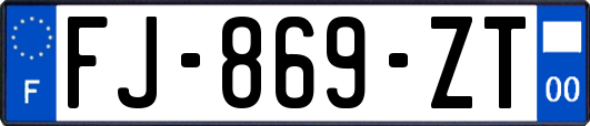 FJ-869-ZT