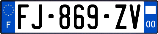 FJ-869-ZV