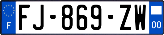 FJ-869-ZW