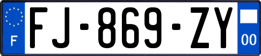 FJ-869-ZY