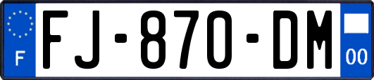 FJ-870-DM