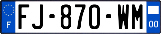 FJ-870-WM