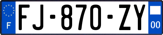 FJ-870-ZY