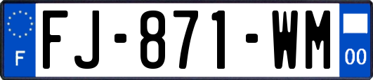 FJ-871-WM