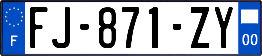 FJ-871-ZY