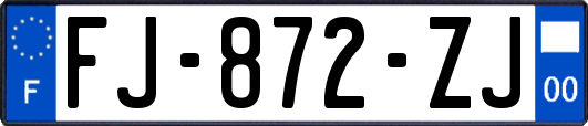 FJ-872-ZJ