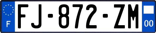 FJ-872-ZM