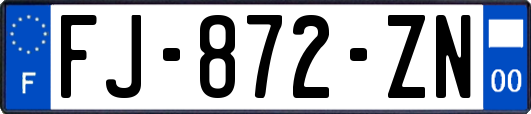 FJ-872-ZN