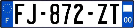 FJ-872-ZT