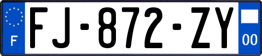 FJ-872-ZY