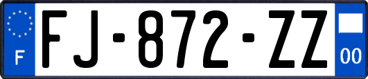 FJ-872-ZZ