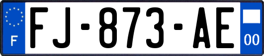 FJ-873-AE