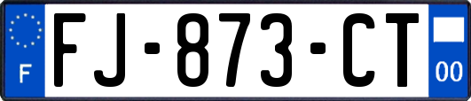 FJ-873-CT