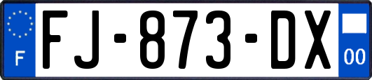 FJ-873-DX