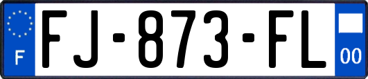 FJ-873-FL