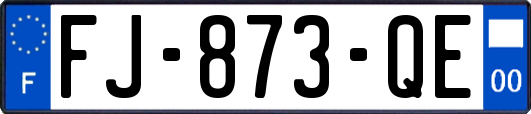 FJ-873-QE