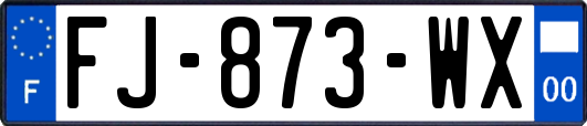 FJ-873-WX