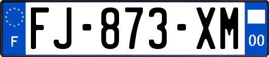FJ-873-XM