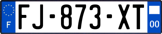 FJ-873-XT