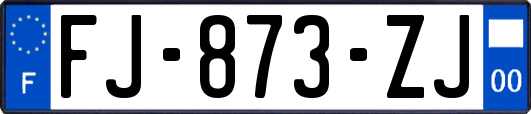 FJ-873-ZJ