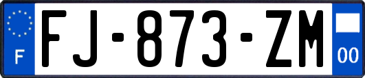 FJ-873-ZM