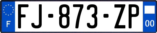 FJ-873-ZP