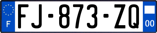 FJ-873-ZQ