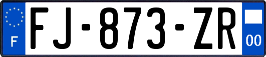 FJ-873-ZR