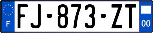 FJ-873-ZT