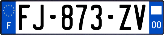 FJ-873-ZV