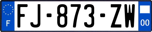 FJ-873-ZW