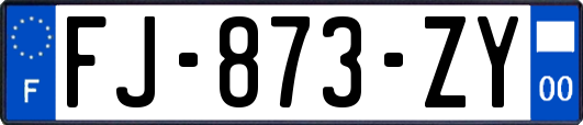 FJ-873-ZY