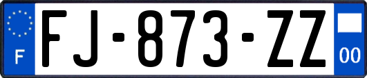 FJ-873-ZZ