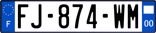 FJ-874-WM