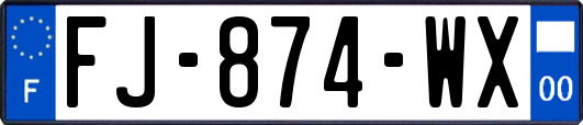 FJ-874-WX