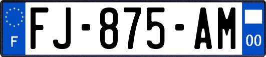 FJ-875-AM