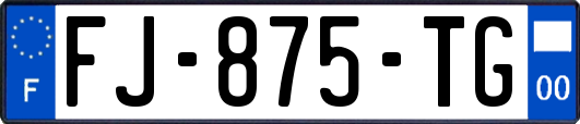 FJ-875-TG