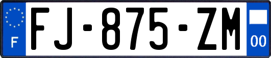 FJ-875-ZM