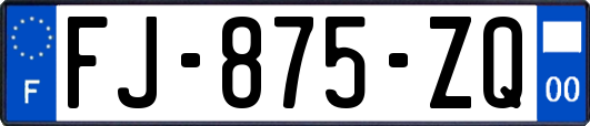 FJ-875-ZQ